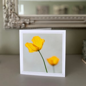 Cartão de felicitações de papoula - cartão de flores silvestres - cartão amarelo da natureza - fotografia de belas artes - cartões feitos à mão