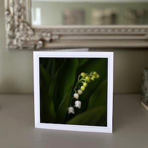 Lily of the Valley greetings card - white flower card - nature card - fine art photography - Hand made cards