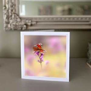 Cartão de felicitações de borboleta - cartão de felicitações em branco - cartão de flores - cartão de natureza - fotografia de belas artes - cartões feitos à mão
