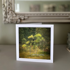 Arbres - automne - Lake District - carte de voeux vierge - carte de paysage - carte de nature - beaux-arts - cartes faites à la main