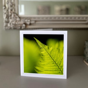 Carte de voeux fougère - carte de voeux vierge - carte de fleur - carte de nature - photographie d'art - cartes faites à la main