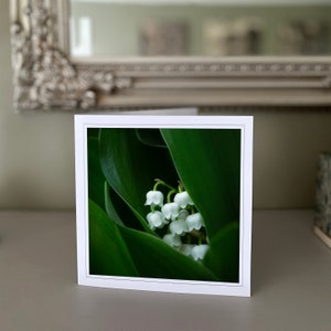 Lily of the Valley greetings card - blank greetings card - flower card - nature card - fine art photography - Hand made cards