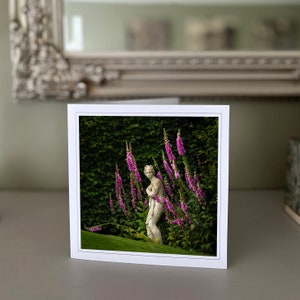 Cartão de felicitações Foxglove - cartão de flores silvestres - cartão de natureza - fotografia de belas artes - cartões feitos à mão