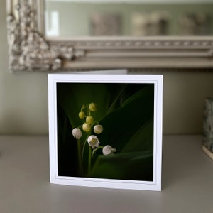 Lily of the Valley greetings card - white flower card - nature card - fine art photography - Hand made cards