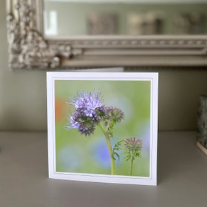 Tarjeta de felicitación con flores silvestres - Tarjeta de felicitación en blanco - Tarjeta con flores - Tarjeta de naturaleza - Fotografía de bellas artes - Tarjetas hechas a mano