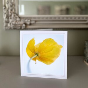 Cartão de felicitações de papoula - cartão de flores silvestres - cartão de natureza - fotografia de belas artes - cartões feitos à mão