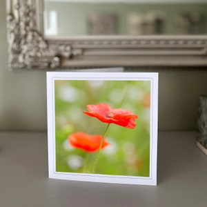 Cartão de felicitações de papoula - cartão de flor vermelha - cartão de natureza - fotografia de belas artes - cartões feitos à mão