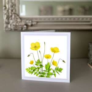 Cartão de felicitações de papoula - cartão de flores silvestres - cartão de natureza - fotografia de belas artes - cartões feitos à mão
