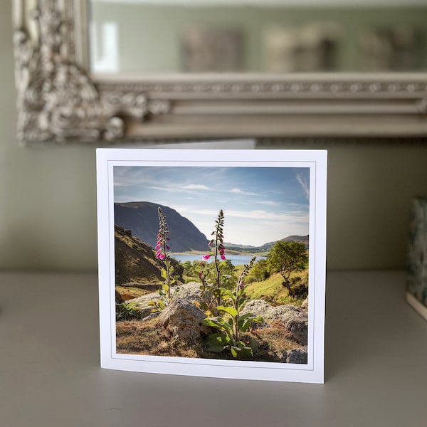 Photography Greetings card - Lake District card - landscape card - nature card - fine art - Rannerdale - Foxglove - birthday cards