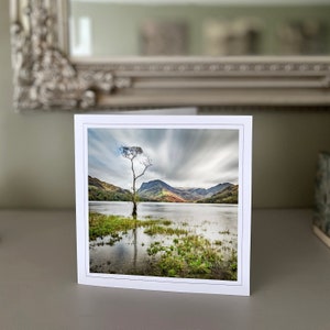 Buttermere - Lone tree - Lake District - carte de voeux vierge - carte de paysage - carte de nature - beaux-arts - Cartes faites main