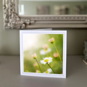 Margaridas - cartão de felicitações de flores - cartão de flores silvestres - cartão de natureza - fotografia de belas artes - cartões feitos à mão