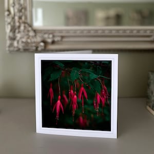 Fuchsia greetings card blank greetings card flower card nature card fine art photography Hand made cards image 1