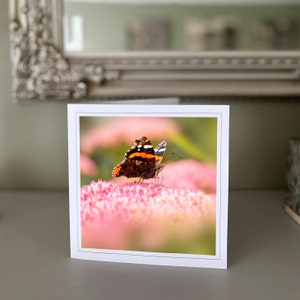 Butterfly greetings card - pink flower card - nature card - fine art photography - Hand made cards