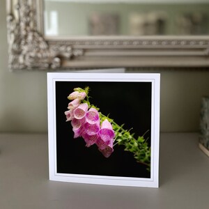 Cartão de felicitações Foxglove - cartão de flores silvestres - cartão de natureza - fotografia de belas artes - cartões feitos à mão