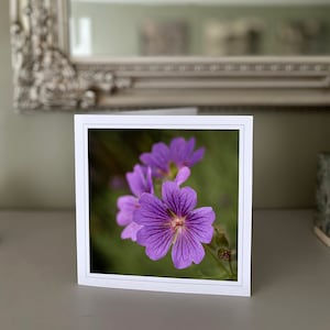 Geraniumwenskaart - paarse bloemenkaart - natuurkaart - kunstfotografie - handgemaakte kaarten