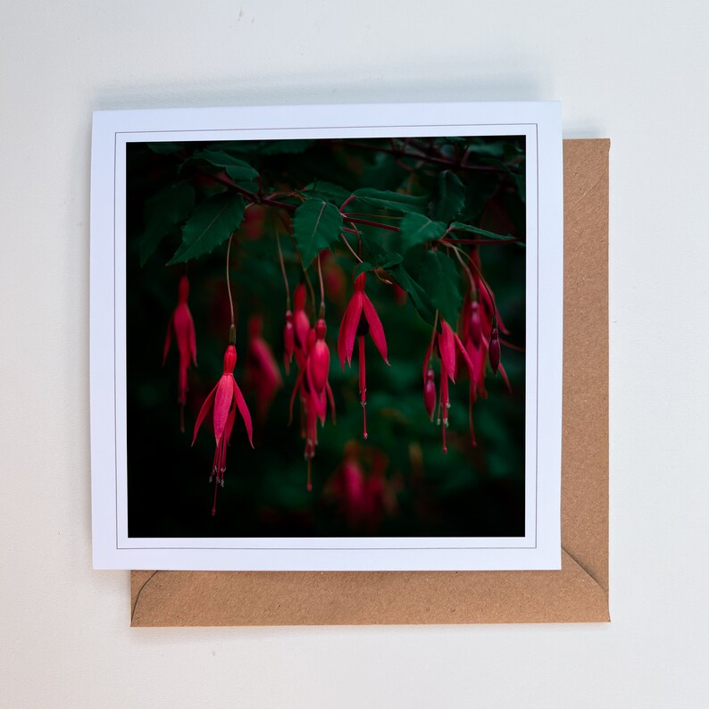 Fuchsia greetings card blank greetings card flower card nature card fine art photography Hand made cards image 2