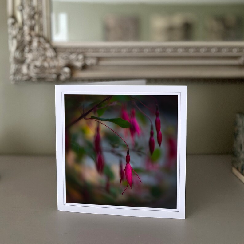 Fuchsia greetings card blank greetings card flower card nature card fine art photography Hand made cards image 1