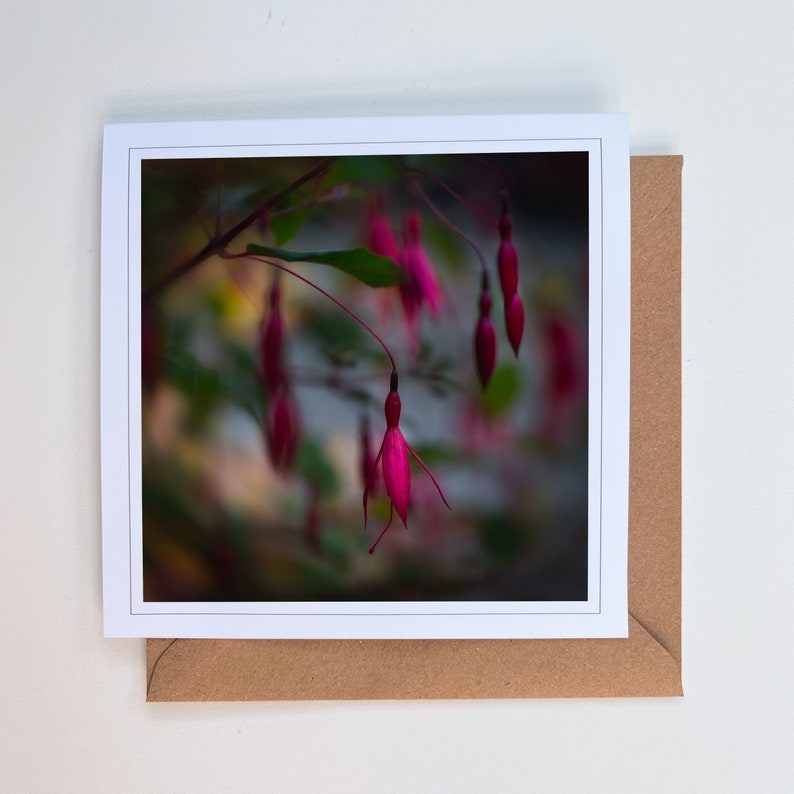 Fuchsia greetings card blank greetings card flower card nature card fine art photography Hand made cards image 2