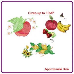 Fruits embroidery designs machine embroidery pattern - instant download.