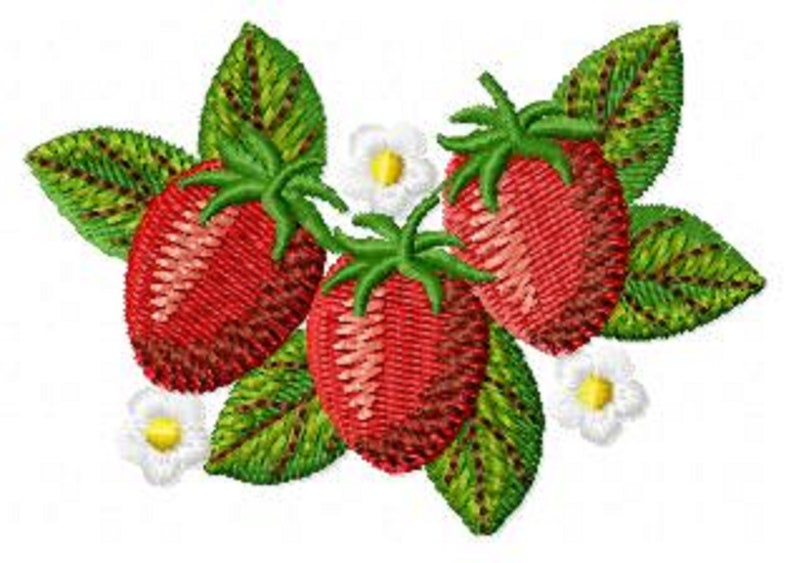 Strawberry Designs Machine Embroidery Pattern Instant Etsy
