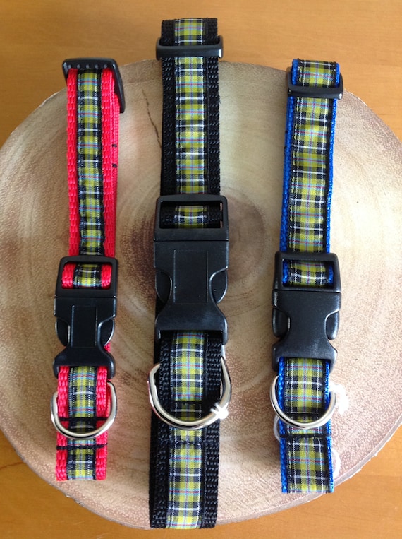 Cornish Tartan Dog Collars With Thinner Ribbon to Show the Webbing