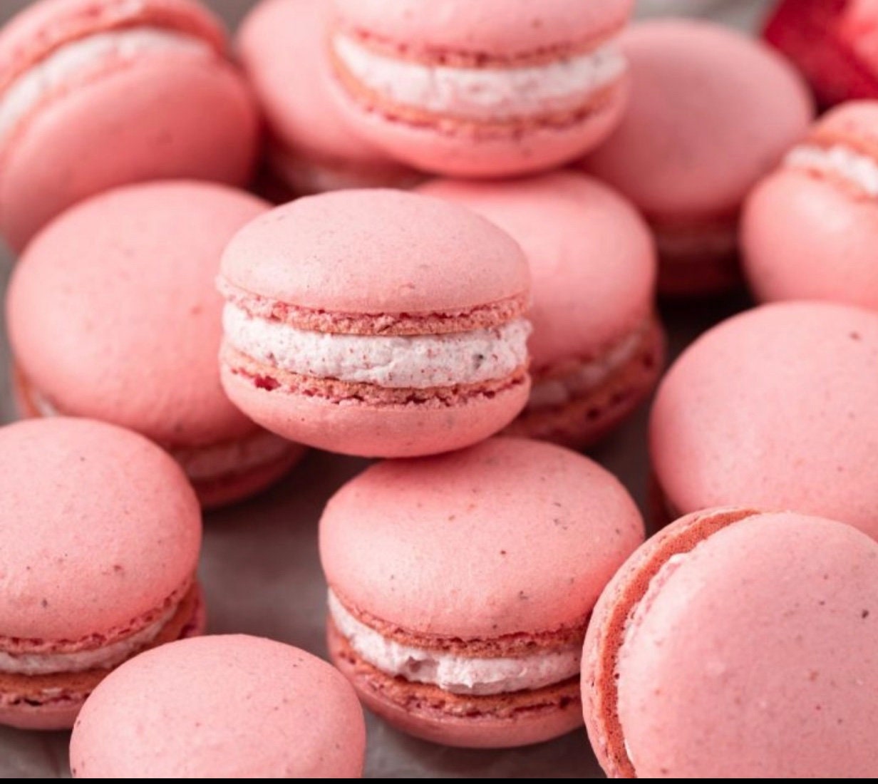 6 Pale Pink Macarons Etsy
