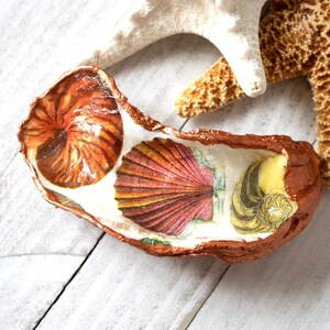 Seashells in Oyster Shell Trinket Ring Dish