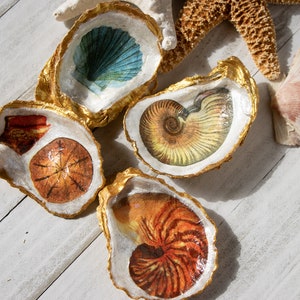 Seashells Oyster Shell Jewelry Trinket Dish