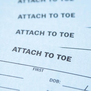 Ten Real Morgue Toe Tags - 10 Blank Mortuary Cards