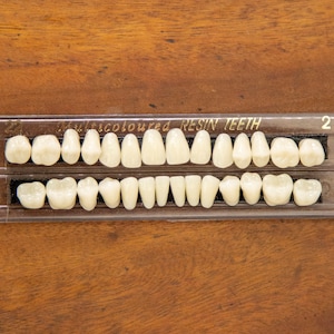 Resin Human Teeth for Dentures, Crafts - Fake Set of Teeth