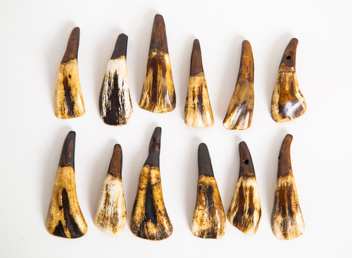 5 Real Buffalo Teeth Brown Buffalo Tooth for Necklace Etsy