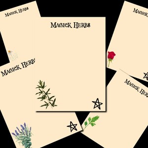 Magick Herbs Grimoire Pages Digital Art Print