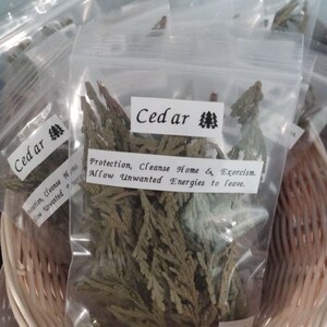 Cedar (Smudge)