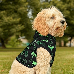 Dnd Dog Hoodie, Dnd dog sweater, dnd pet hoodie, dnd pet accessories, dnd pet gift, geeky pet sweatshirt, dnd pet shirt, dnd familiar hoodie