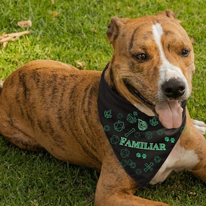 Dnd dog bandana, Dnd collar, Familiar Dog bandana, D&D Pet Bandana, Dnd Collar, Dnd gifts, Dnd pet owner gift bandana, Dnd familiar bandana