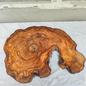 May include: A natural wood slab featuring a prominent circular grain pattern with warm brown and golden amber tones. The piece has an irregular, organic shape with rough, textured bark edges along the perimeter and a visible central crack.