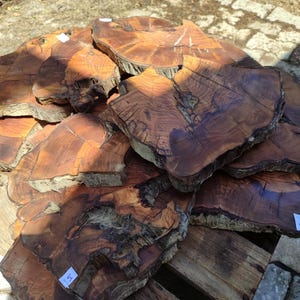Könnte beinhalten: Eine Ansammlung unregelmäßiger, kreisförmiger Holzscheiben mit satten Brauntönen, sichtbarer Maserung und natürlichen Rindenkanten. Jedes Stück weist einzigartige Astlöcher und organische Texturen auf, mit kleinen weißen Papieretiketten.