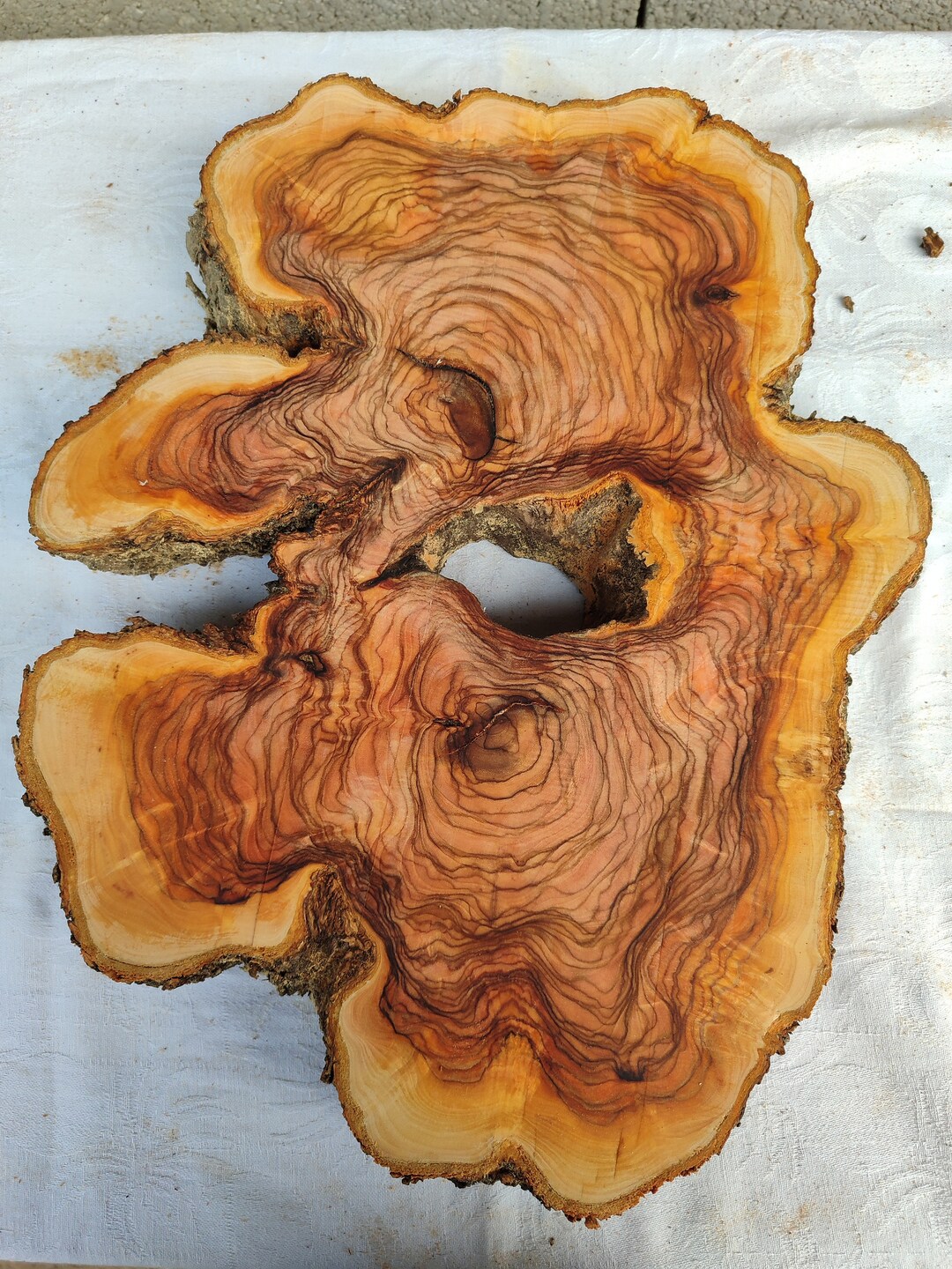 15 39cm Turkish Olive Wood Burl, Olive Wood Slab, Live Edge Epoxy Resin