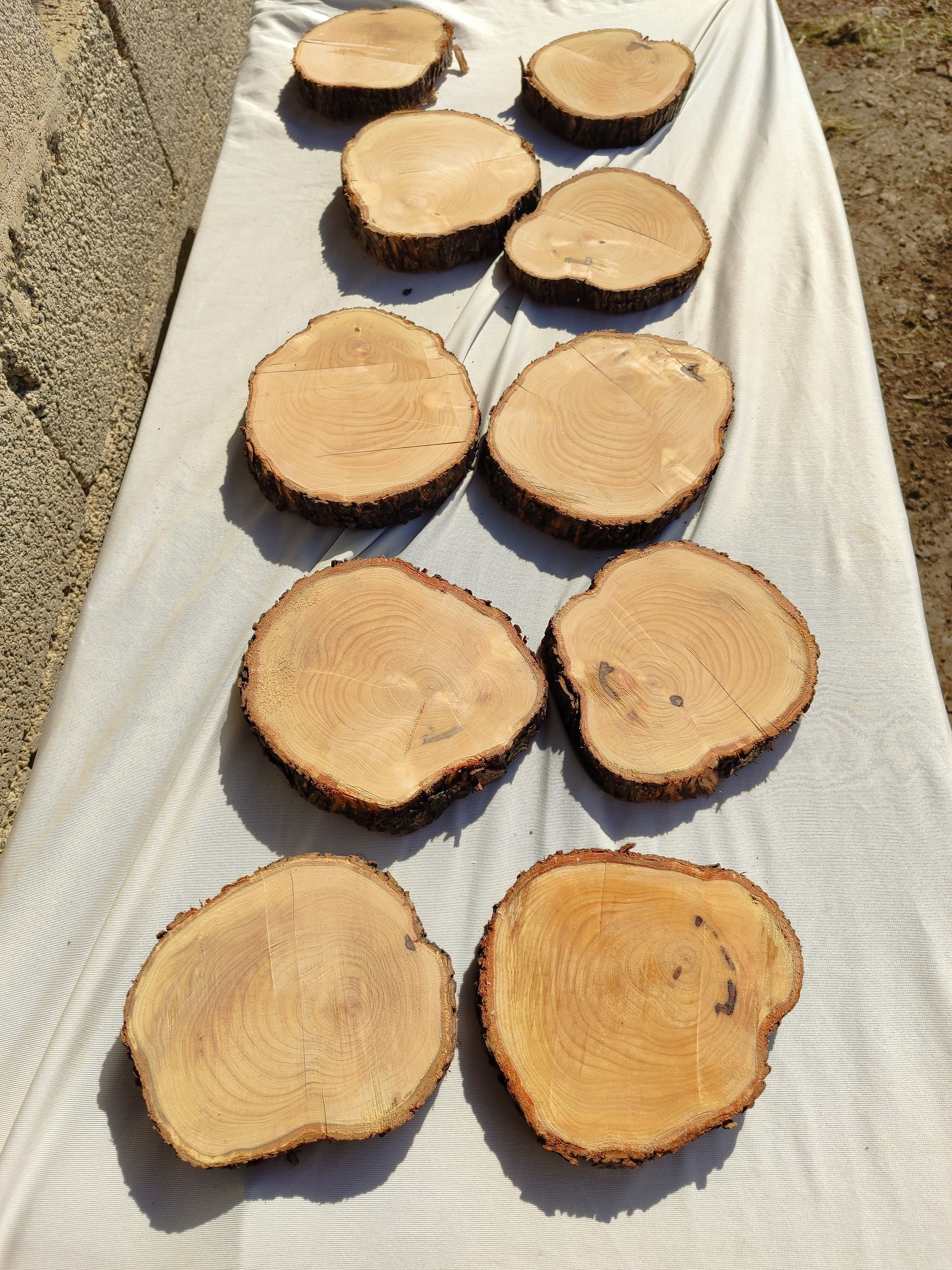 6 | 15CM 전체 | 개당 가격 올리브 나무 목재 에폭시 올리브 나무 쿠키 REE 슬라이스 작은 나무 슬라브 올리브 나무 슬라브  RAW EDGE WOOD-Freehip.co.kr