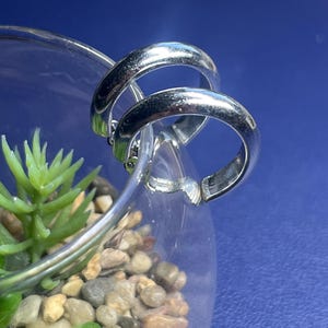 May include: A pair of polished silver-tone hoop earrings with a smooth, rounded profile. The earrings are positioned resting on the curved rim of a clear glass container filled with small, multi-colored pebbles and a small green succulent plant.