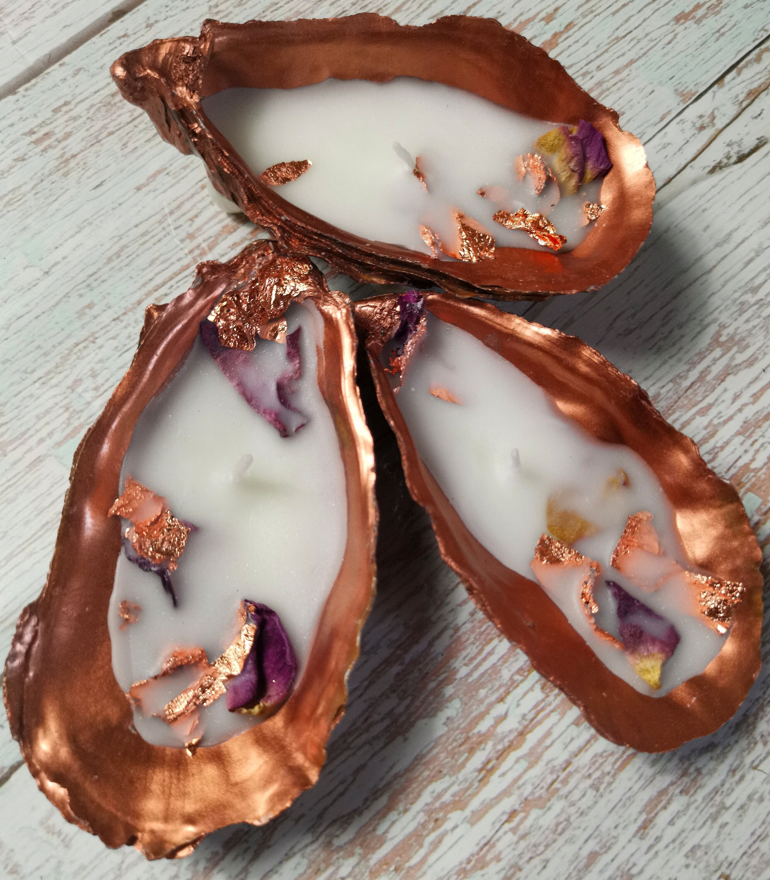 Oyster Candle Seashell Candle Whitstable Folkstone Etsy