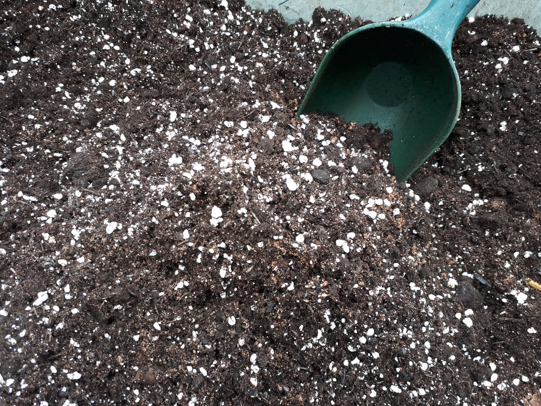 Premium Potting Mix for Kentia/parlor & Similar Indoor Palms. Organic