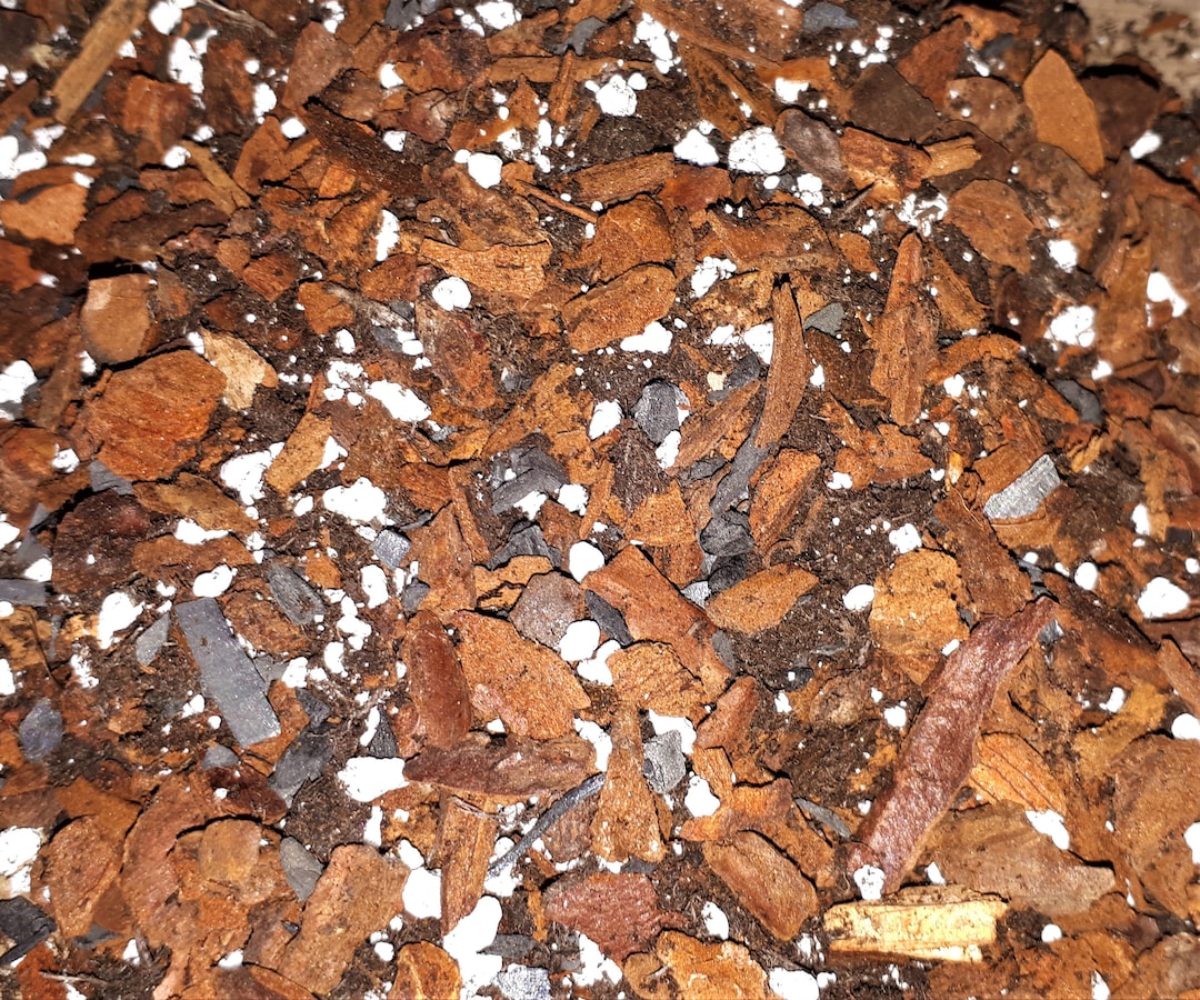 Professionally Mixed Spathiphyllum peace Lily Potting Compost 1 Litre