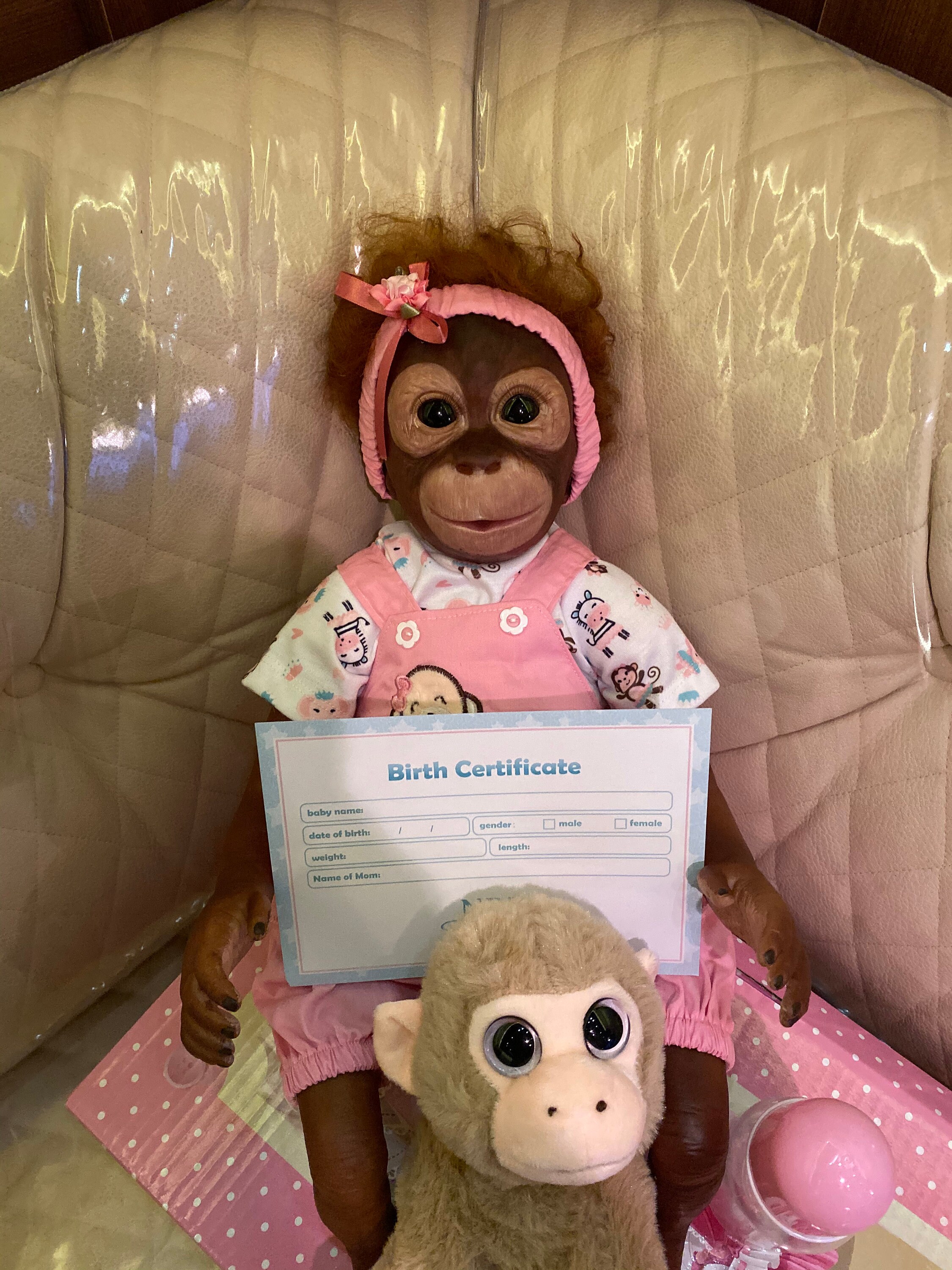 Reborn boy and girl monkeys Etsy