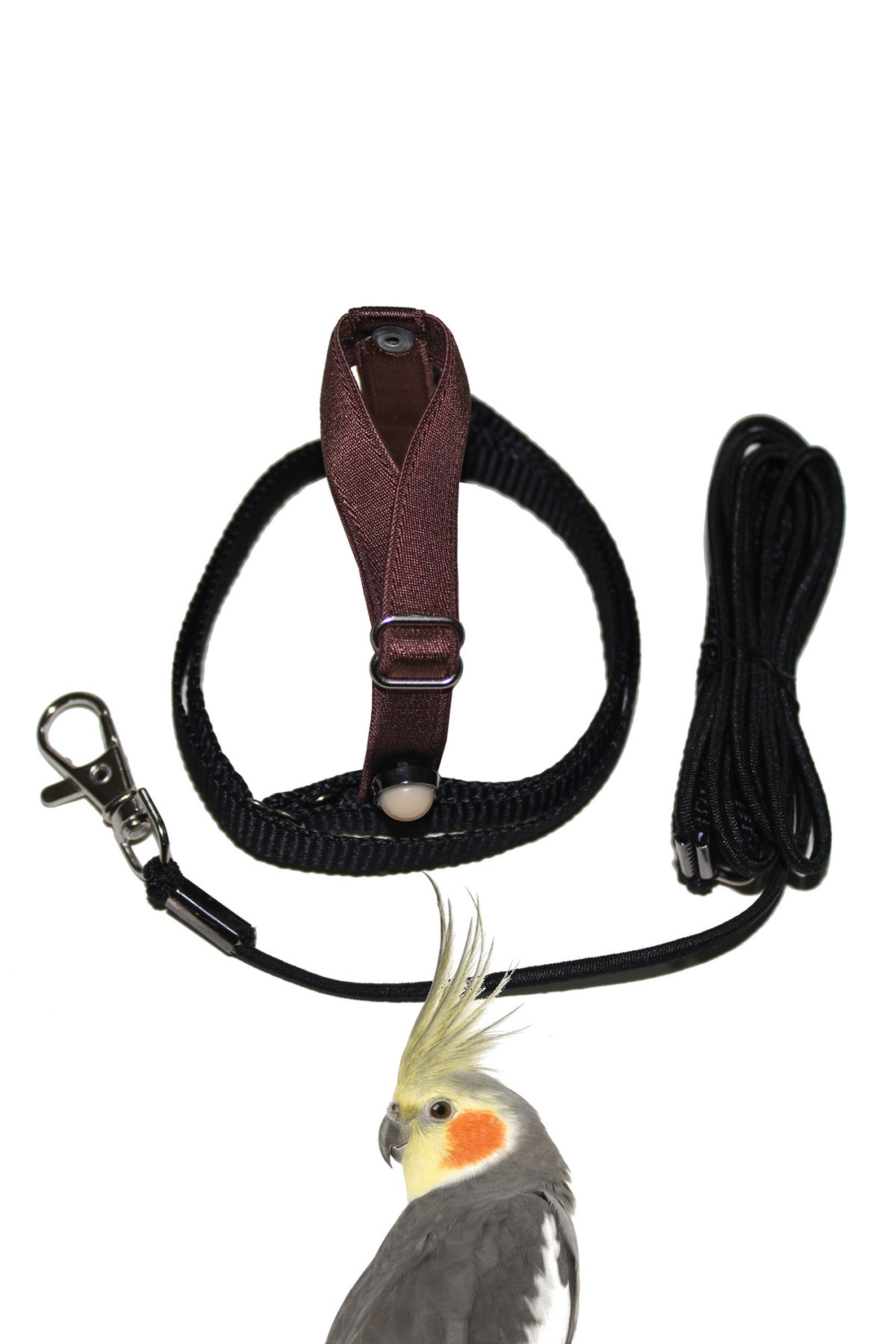 Elastics Stone Parrot Bird Collar Harness Etsy