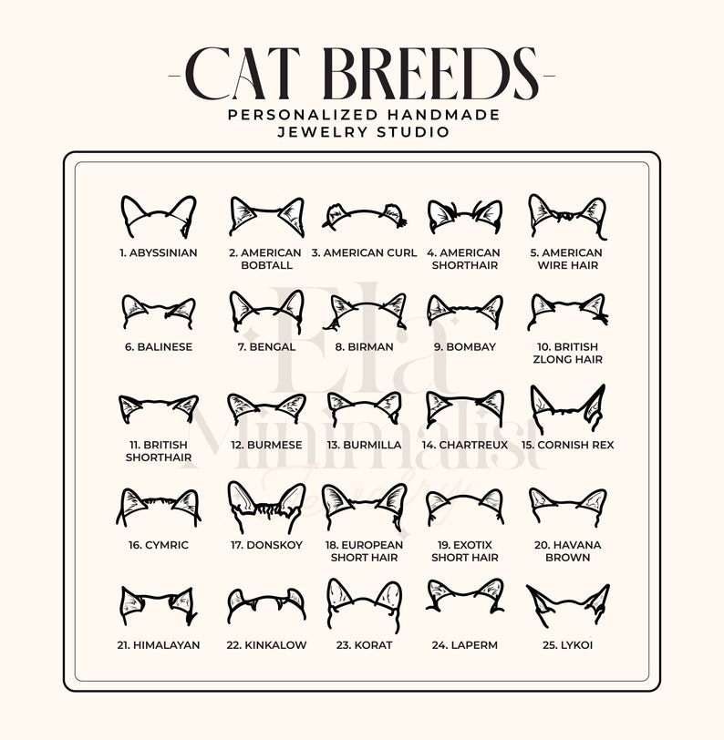 May include: A chart of 25 different cat breeds with black and white illustrations of each breed's head. The breeds are listed in numerical order from 1 to 25. The chart has the title "Cat Breeds - Personalized Handmade Jewelry Studio".