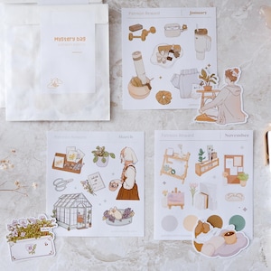 Patreon Mystery Bag | Speciaal pakket | Matte stickervellen | Stickerbundel | Leuke stickers | Stickerset voor planners