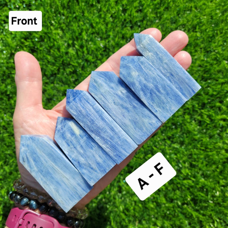 May include: Five blue kyanite crystal wands, each with a pointed tip and a rectangular body. The crystals are held in a hand against a backdrop of green grass. A white sticker with the text "A-F" is in the lower right corner.