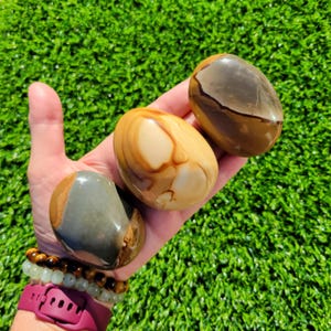 May include: Three smooth, polished, oval-shaped stones with distinct color patterns. One stone is primarily tan with cream swirls, another is dark brown with a horizontal band, and the third is a mix of grey, brown, and tan tones.