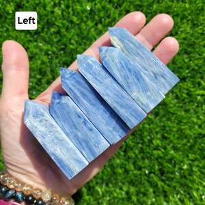 May include: Six blue kyanite crystal wands are held in a hand against a green background. The wands are rectangular with pointed tips and display a mix of light and dark blue hues. The crystals are arranged in a fan shape.